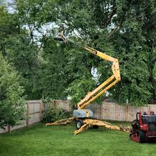 How Our Tree Care Process Works  in Port Hadlock Irondale, WA